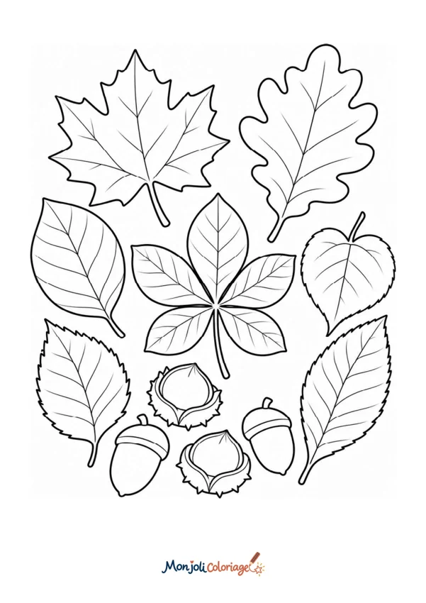 Coloriage à imprimer : Feuilles d'automne
