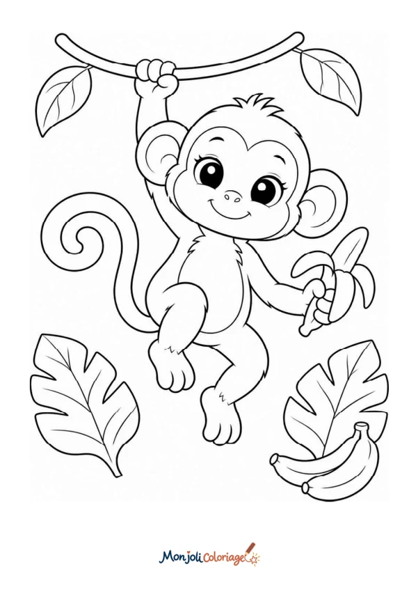 Singe